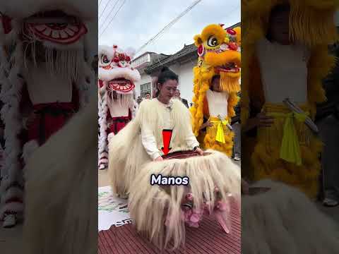 El momento exacto en que este simpático león empieza a temblar 🦁😂