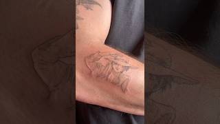 My gift for catching up #onepiece #onepiecetattoo #animetattoo #luffy #luffytattoo