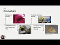 Producing Biodiesel From Seaweed Oil YeonSeo Lee TaeGyeong Lee MinSeo Park