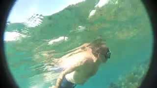 preview picture of video 'Riviera Maya snorkeling Beaton group Flyin Fish Jan 20'