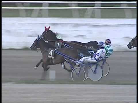 Trotto 30/12/2014 - 3° corsa