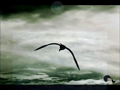 Tierra De Nadie video