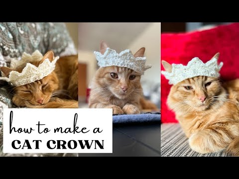 YOU NEED TO CROCHET THIS FOR YOUR CAT TODAY: CAT CROWN PATTERN