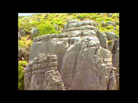 Sierra de las Nieves Naturschutzgebiet. Teil 1