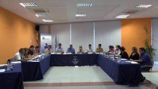 Ple ordinari de 29 de setembre de 2016