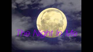 Disco Bandito - The Night In Me (OTE Record) (short promo edit!!!)