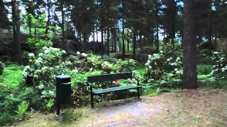 preview picture of video 'Alppiruusupuisto | Rhododendron park - Raisio'