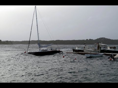 Orkansko jugo 29.10.2018.