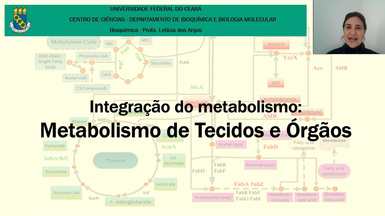 Bioquímica - Aula 14 - Integração Metabólica: Tecidos e Órgãos