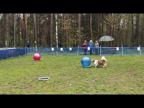 Franzi und Mailo - Klasse 1 / Lauf 2