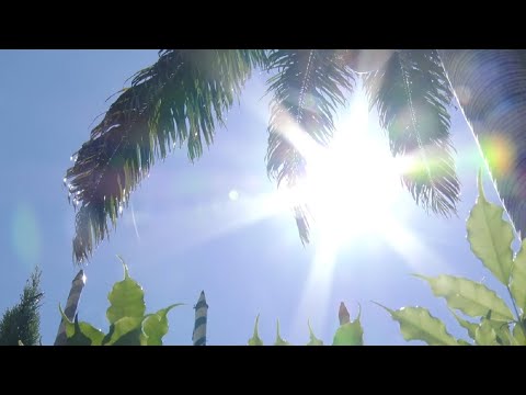 Verão promete ser mais chuvoso e de temperaturas altas