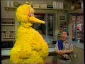 Sesame Street Sing After Me Big Bird And Alan