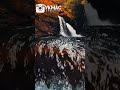 Panithuli Panithuli Bgm Whatsapp Status