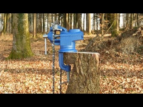 Square ground filing. Affûtage à la lime plate en forêt.