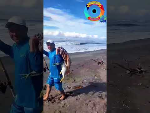 Bonita pesca en la boca de la Bocabarra en Iztapa, Escuintla, Guatemala 🎣🐟 #creadoresdecontenido