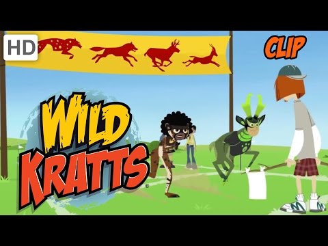 Wild Kratts - Olympic Medley: Racing, Diving and Swimming