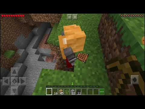 1° Episodio di minecraft #leardfraft