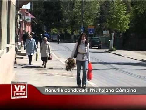 Planurile conducerii PNL Poiana Câmpina