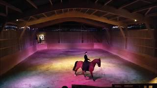 Mille chevaux d'écume