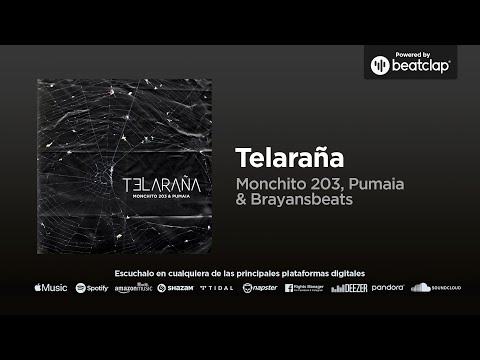 Monchito 203, Pumaia & Brayansbeats - Telaraña