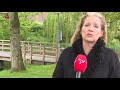 Dierennoodhulp: Let op verdachte personen bij zwanennesten