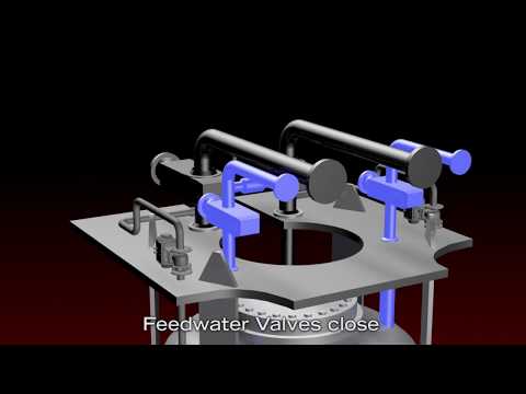 Emergency Core Cooling System