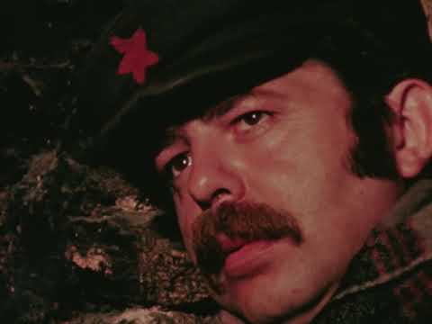 Прозното творештво и литературата - 1982