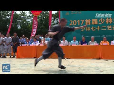 72 arts of Shaolin: Snake Kung Fu