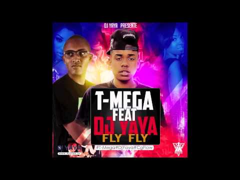 Fly Fly, T-Mega Feat Dj Yaya - Février 2015 ( Audio - Video Cover )