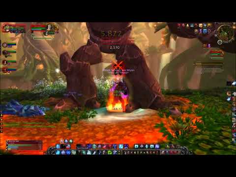 Der immergrüne Flor