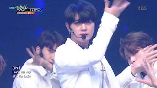 Download lagu 업텐션 ( UP10TION ) - Blue Rose @ 뮤직뱅크 (Music Bank) 190104 mp3