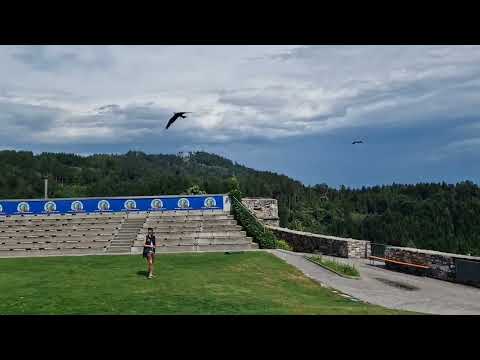 Part 2: Falken Flugschau Burg Sommeregg, Eeeboden, Österreich