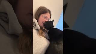 What's it's like to have a clingy cat 🥰🩷#funnycats #funnyanimals #petvideos #cat #catsoftiktok #usa