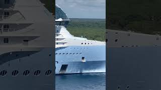 Two Giants in the Ocean ICON and STAR Of The Seas!… #cruiseship #travel #shorts #yt #ytshorts #fyp