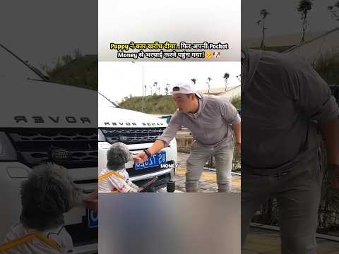 Puppy ने कार खरोंच दी…फिर अपनी Pocket Money से भरपाई करने पहुंच गया!🥺🐶 #shorts