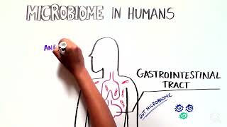 What is a Microbiome?