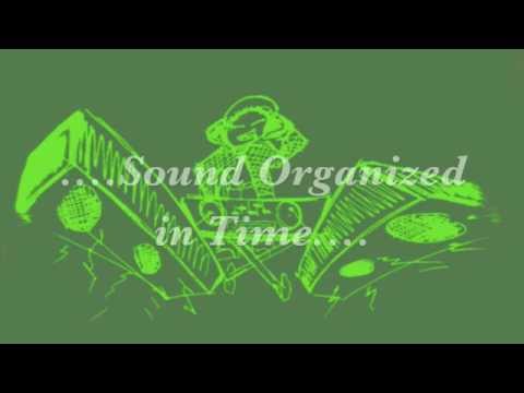 ajn347 Sound Organized in Time