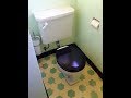 1929 Crane NEUCLO Toilet - TEPECO - Trenton Potteries - Antique - Vintage