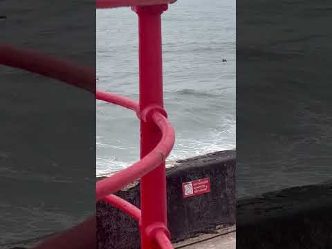 O CORAÇÃO DAS ONDAS GIGANTES — FAROL DE NAZARÉ