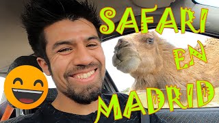 🇪🇦🦒🦁Como es el SAFARI MADRID. Donde ver animales salvajes muy cerca y paseo en familia🦓🐅🐒🦒.