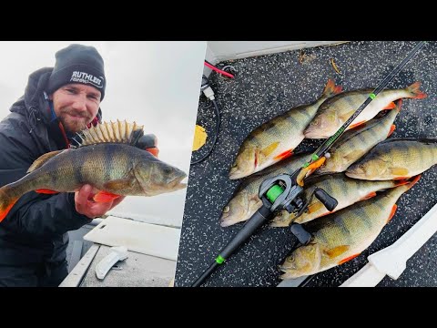 MYRSKY AJATTI TOISELLE JÄRVELLE | HYVÄ AHVEN SAALIS VAIKEUKSISTA HUOLIMATTA!