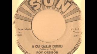 Roy Orbison -  A Cat Called Domino
