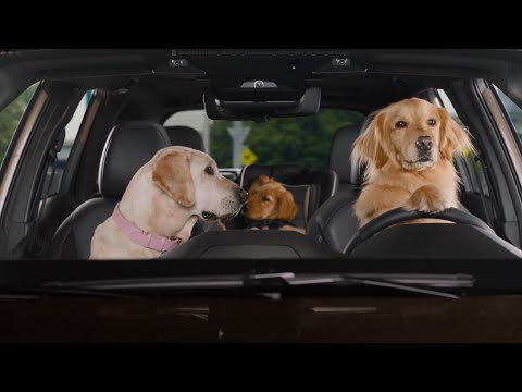 Roundabout