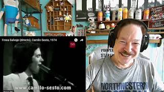 Camilo Sesto - Fresa Salvaje (Wild Strawberry), 1974. A Layman's Reaction