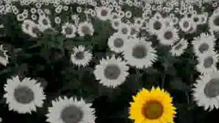 Sufficient - Adie Camp (with lyric)