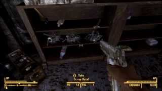 Let's Play Fallout New Vegas Part 95 - Voting for Death