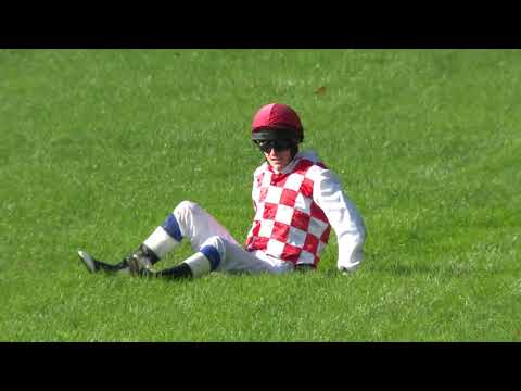 11. 10. 2020 - 1. dostih - Zlatá spona tříletých – Cena holdingu BICZ