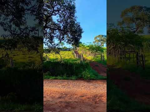 Carvalhopolis bairros rurais mg