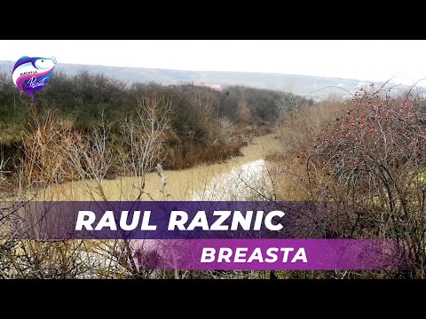 Raul Raznic in Breasta