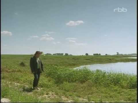 Andy Borg - Für eine Nacht gehörst Du mir